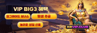 VIP 전용 리로드 보너스 promotion banner