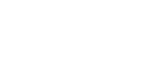 넷엔터테인먼트 logo
